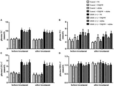 YangXue QingNao Wan and Silibinin Capsules, the Two Chinese Medicines, Attenuate Cognitive Impairment in Aged LDLR (+/-) Golden Syrian Hamsters Involving Protection of Blood Brain Barrier